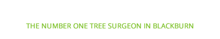blackburn tree surgeons lower logo