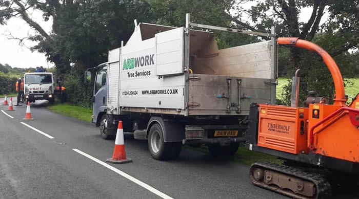 essential tree work on main road